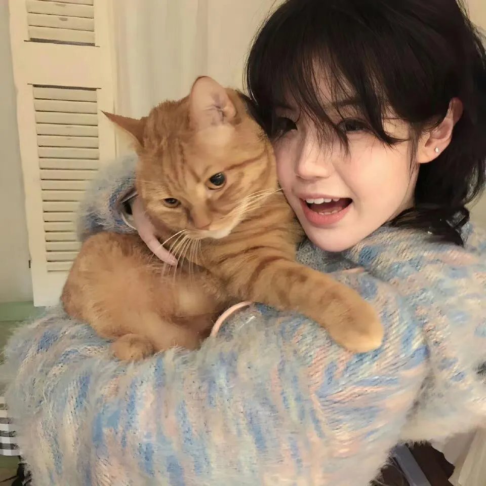 超级飞侠第六季